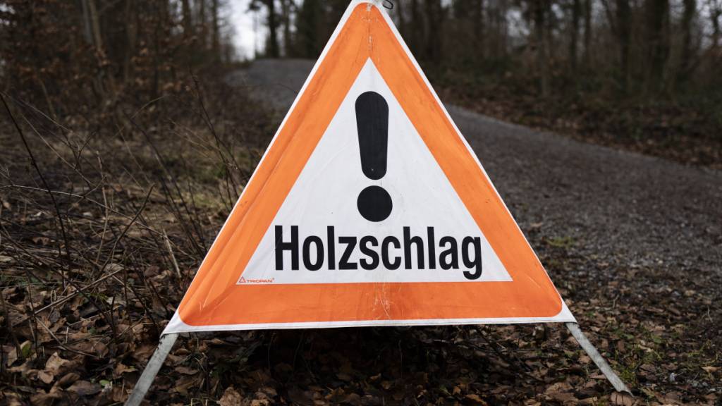 Der Krienser Hobacherwald ist für die Stadt ein Schutzwald von «zentraler Bedeutung». (Symbolbild)