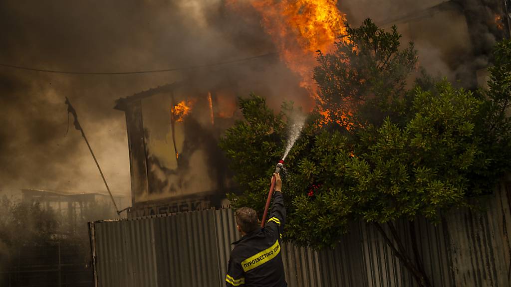 Feuerwehrleute versuchen einen Waldbrand in einem Waldgebiet nördlich von Athen zu löschen.  Seit den frühen Morgenstunden fachten starke Westwinde am Freitag die zahlreichen Feuer weiter an. Foto: Angelos Tzortzinis/dpa