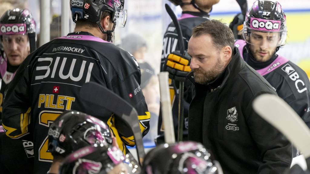 Julien Vauclair steht - wie schon in der Saison 2024/25 - an der Bande des HC Ajoie