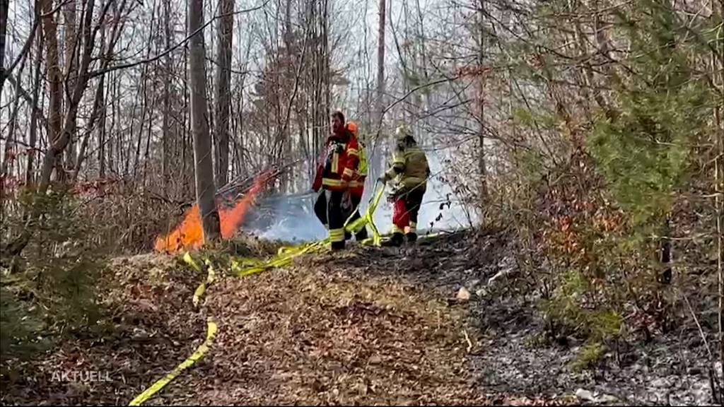 Waldbrandgefahr: Kantonspolizei mahnt zur Vorsicht