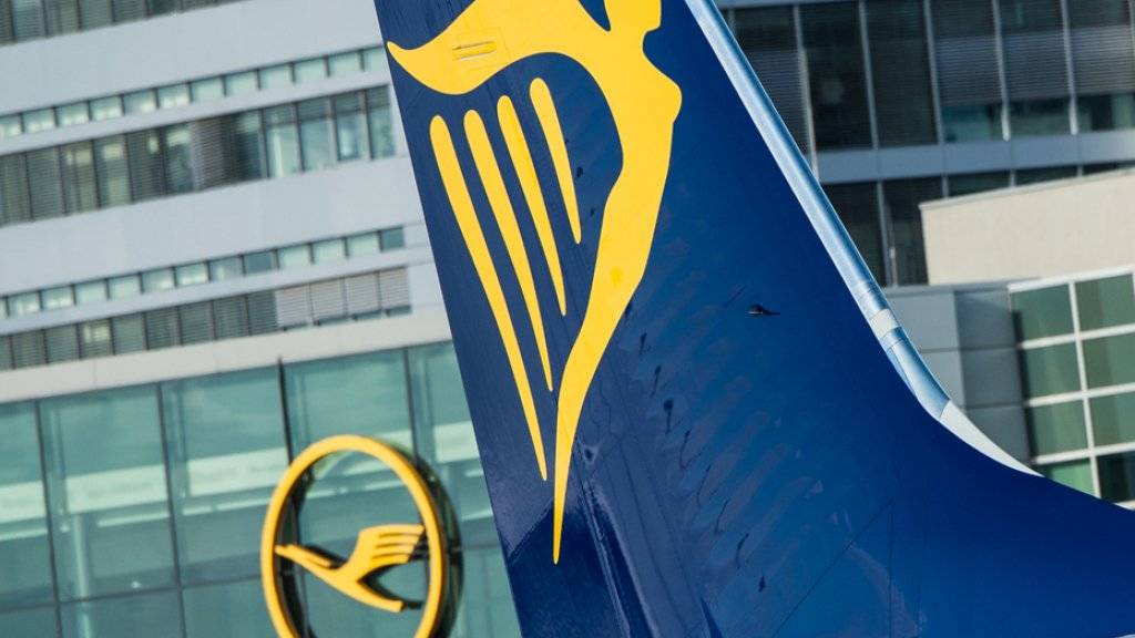 Ein Jet von Ryanair am Flughafen in Frankfurt am Main. Bis zum Ende des Sommerflugplans Ende Oktober will die irische Airline täglich zwischen 40 und 50 Flüge zu streichen. (Archiv)