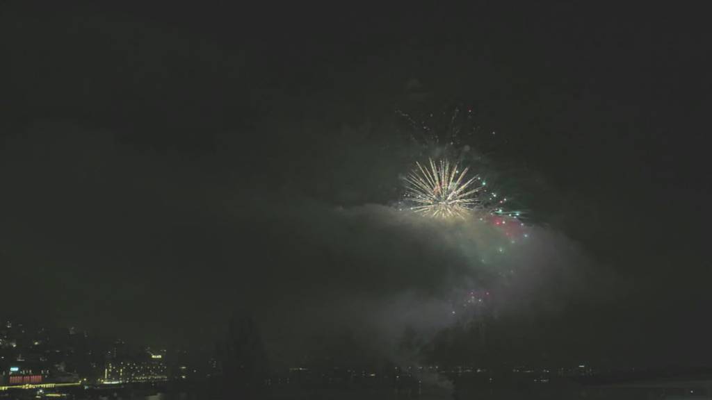 Neujahrsfeuerwerk