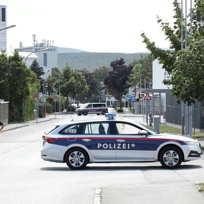 Anschläge bei Swift-Konzert in Wien geplant: zwei Festnahmen