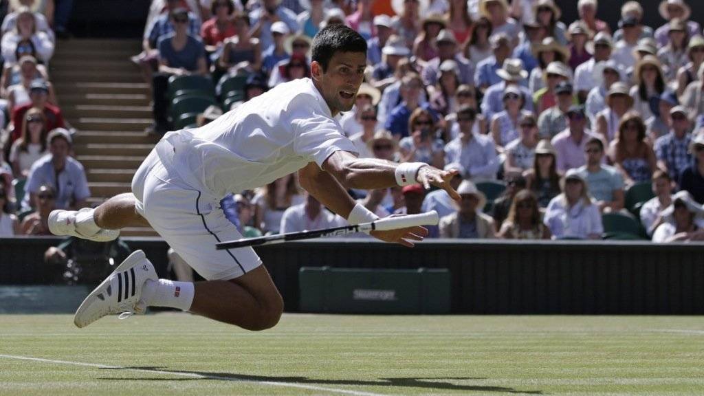 Voller Einsatz: Novak Djokovic gewann 2015 unter anderem in Wimbledon und wurde zu Europas Sportler des Jahres gewählt