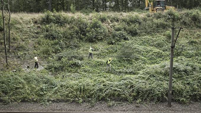 Grabungen nach mysteriösem Nazi-Zug in Polen gestartet