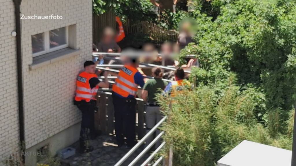 Grosse Einfangaktion: Ein ausgebüxtes Rind hält Landwirte, Polizei und Militär auf trab