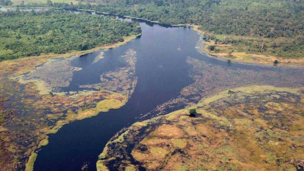 Der Ruki-Fluss in der Demokratischen Republik Kongo ist laut einer neuen Studie dunkler als der Rio Negro im Amazonas.