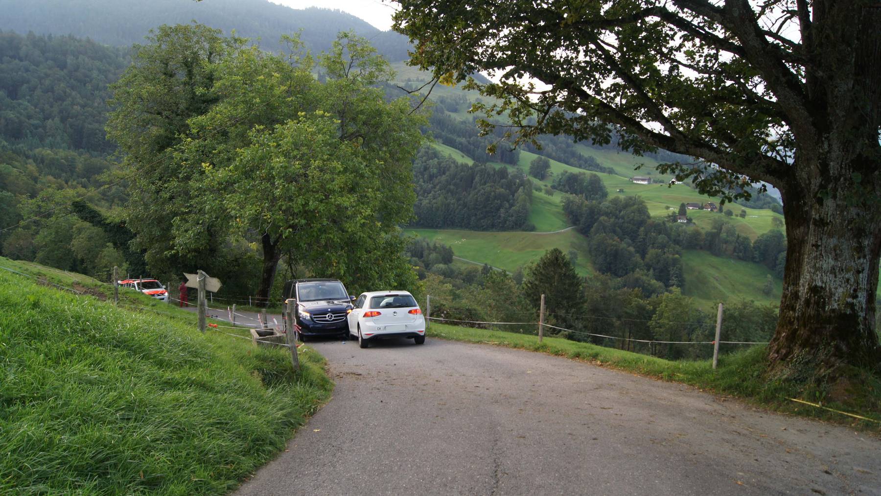 Frontalkollision auf Bergstrasse in Walchwil