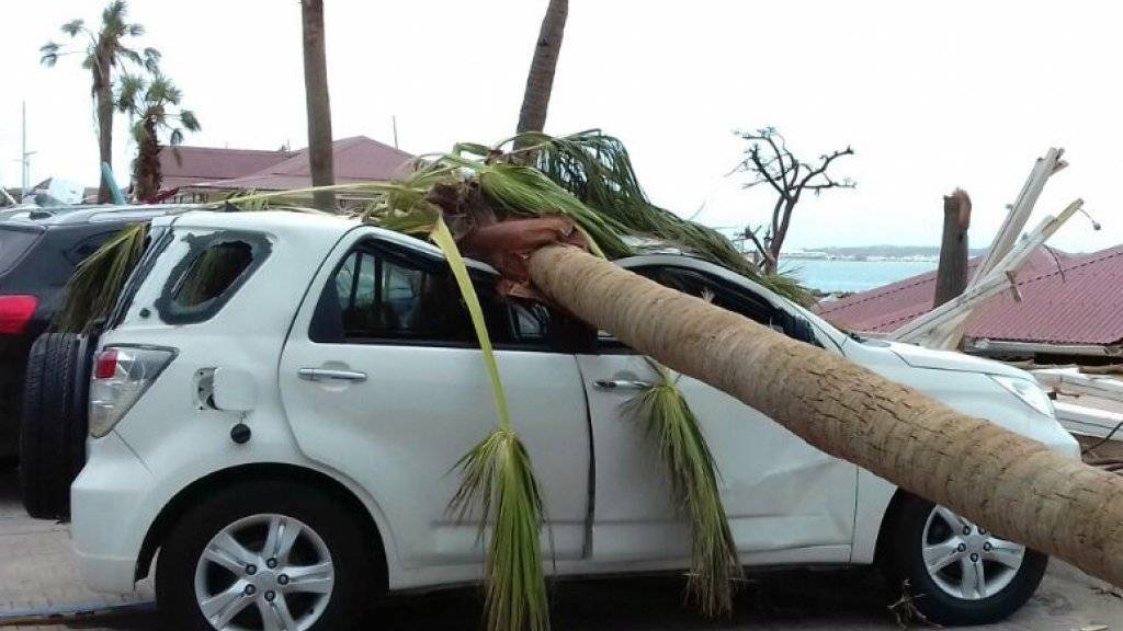 Ein Autodach wurde durch eine umgestürzte Palme auf der Insel St. Martin zusammengedrückt.