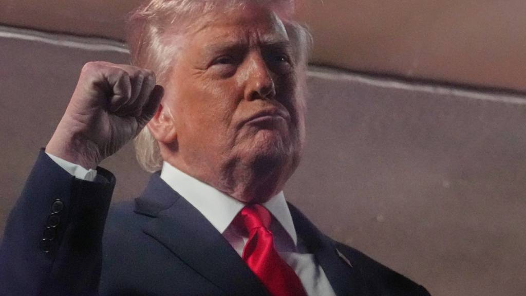 ARCHIV - US-Präsident Donald Trump. Foto: Mark Schiefelbein/AP/dpa/Archivbild