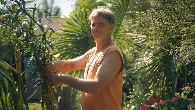 Richard Klinke zeigt seinen Raritätengarten mit Koniferen und Gartenlilien