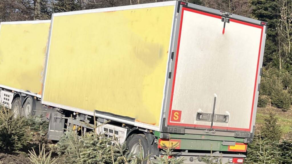 Der Anhänger fuhr am Montagmittag in Schongau LU in eine Baumschule.