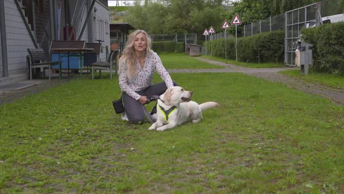 Vorschau Sendung «Tierisch»