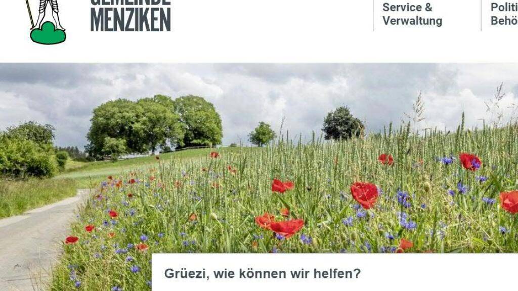 Aargauer Heirat ist besiegelt: Menziken und Burg fusionieren