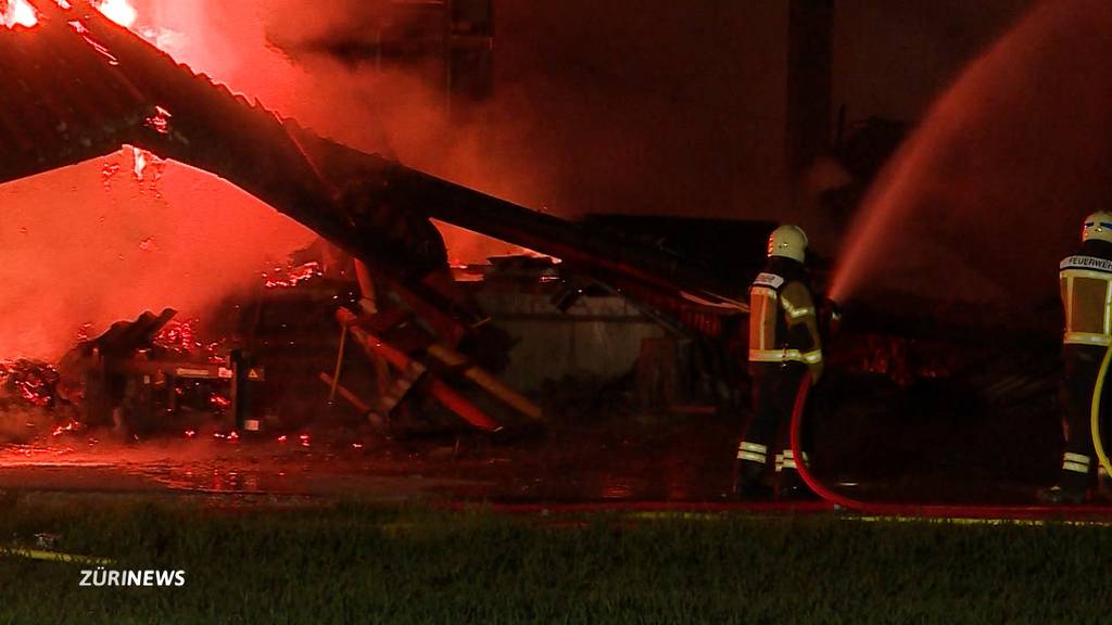 Kantonspolizei Solothurn rät von Bürgerwehren gegen Brandstifter ab