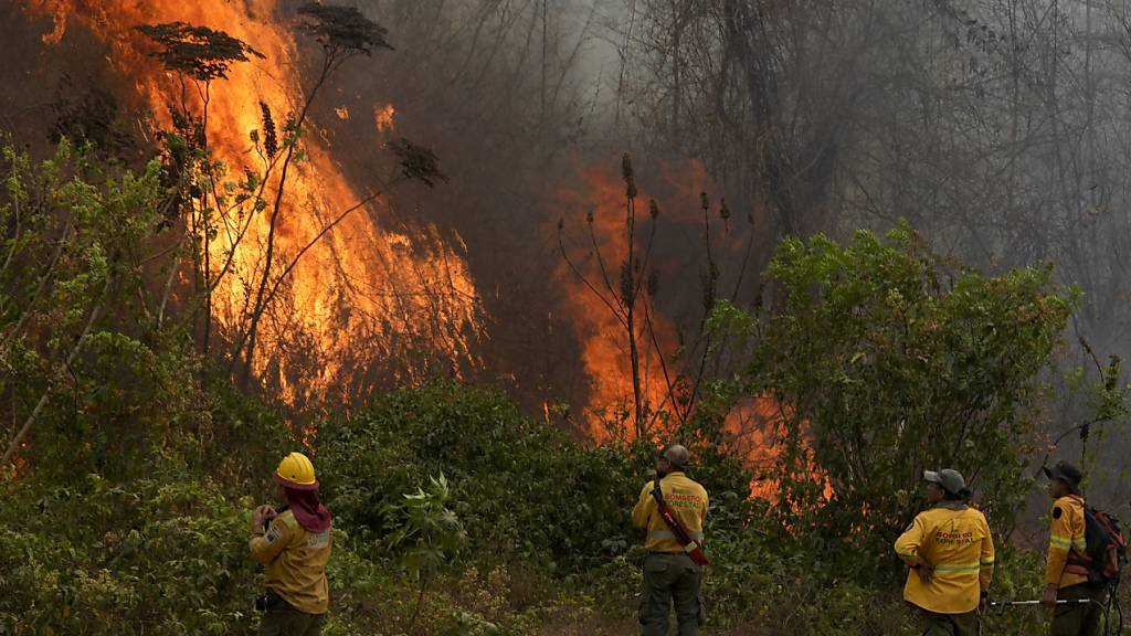 ARCHIV - Freiwillige Feuerwehrleute löschen ein Feuer im Wald von Chiquitania in der Nähe von Concepcion in Bolivien. Foto: Juan Karita/AP/dpa