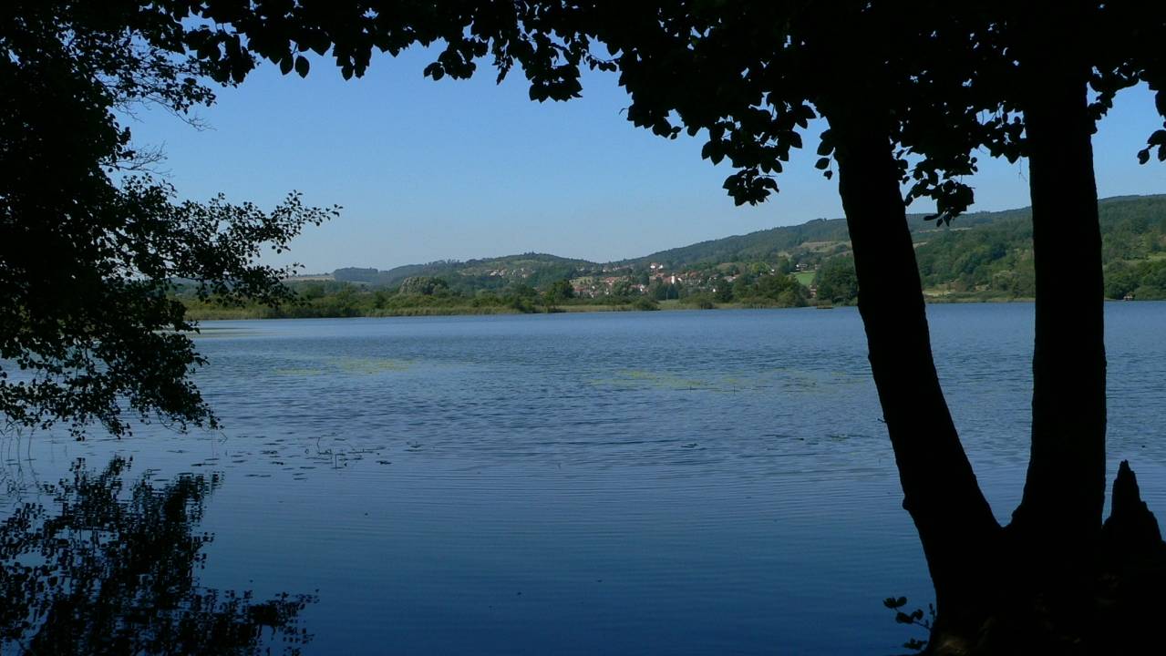 Die kriminalpolizeilichen Ermittlungen zu den näheren Umständen am Mindelsee dauern derzeit noch an.