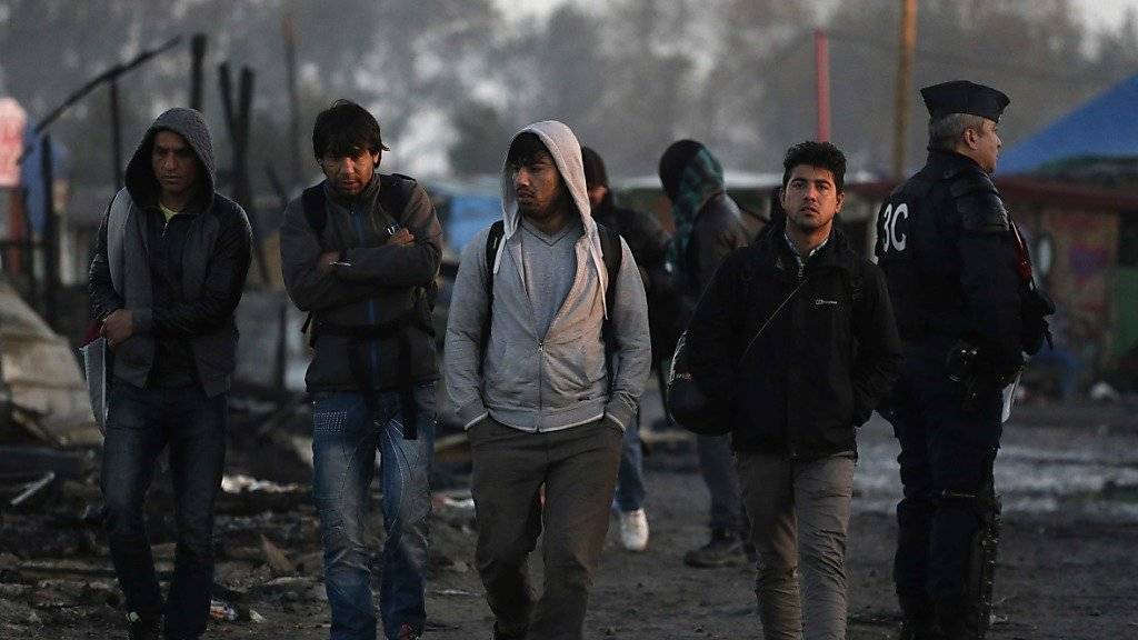 Sie können auf Asyl hoffen: Flüchtlinge verlassen das Camp in Calais.