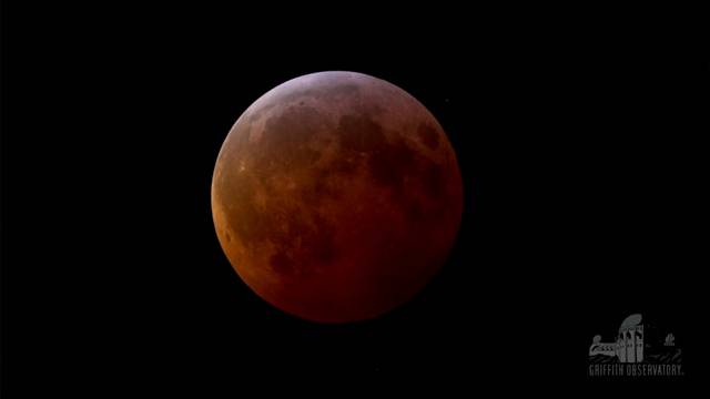 Blutmond: So sah das Spektakel im Ausland aus