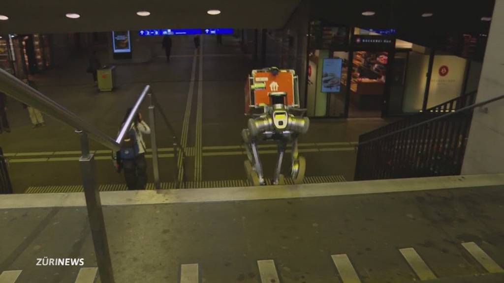 Eklat um Zürcher Lieferroboter