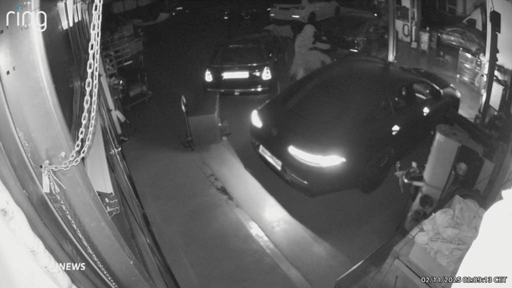 Einbruchserie in Schweizer Garagen – wie sich Autohändler wappnen