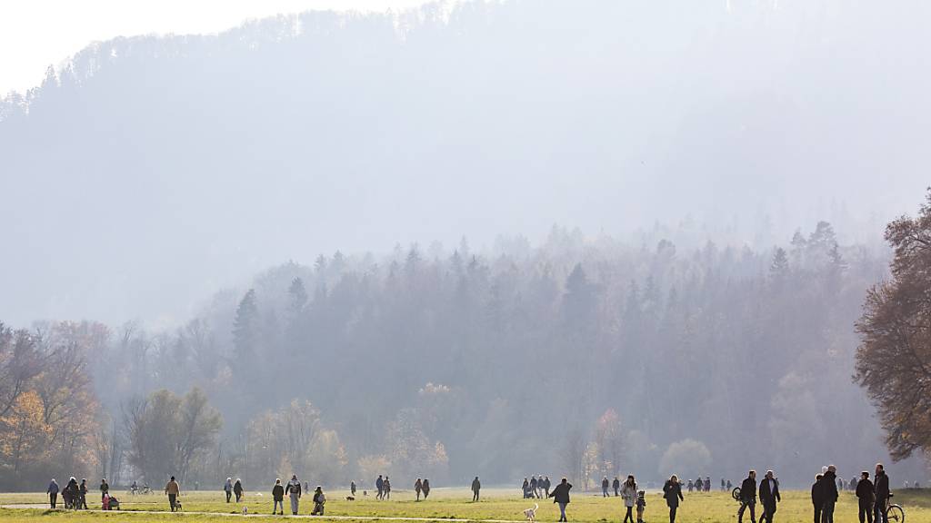 Das Jahr 2020 war annähernd so warm wie das Rekordjahr 2018. Im Bild Spaziergänger im Novemer auf der Allmend in Zürich.