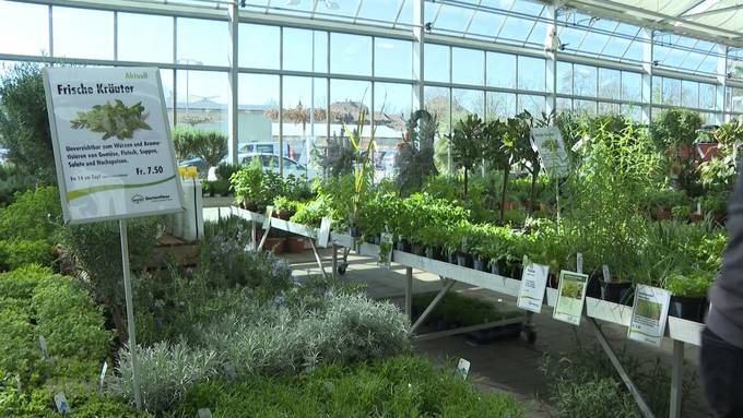 Ab in die Gärten: Gartenexperten über die neusten Trends