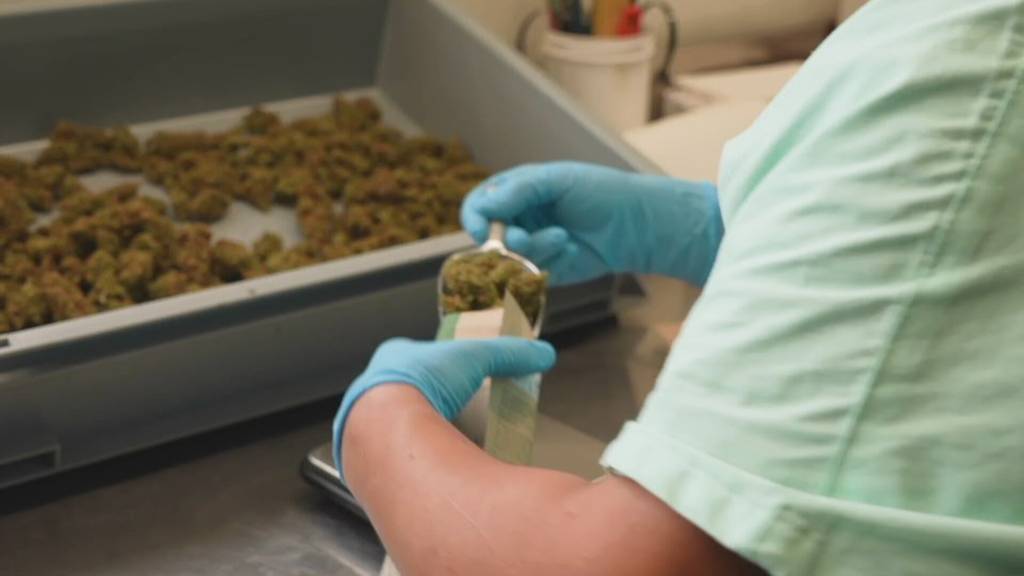 Cannabis-Konsum bald legal?