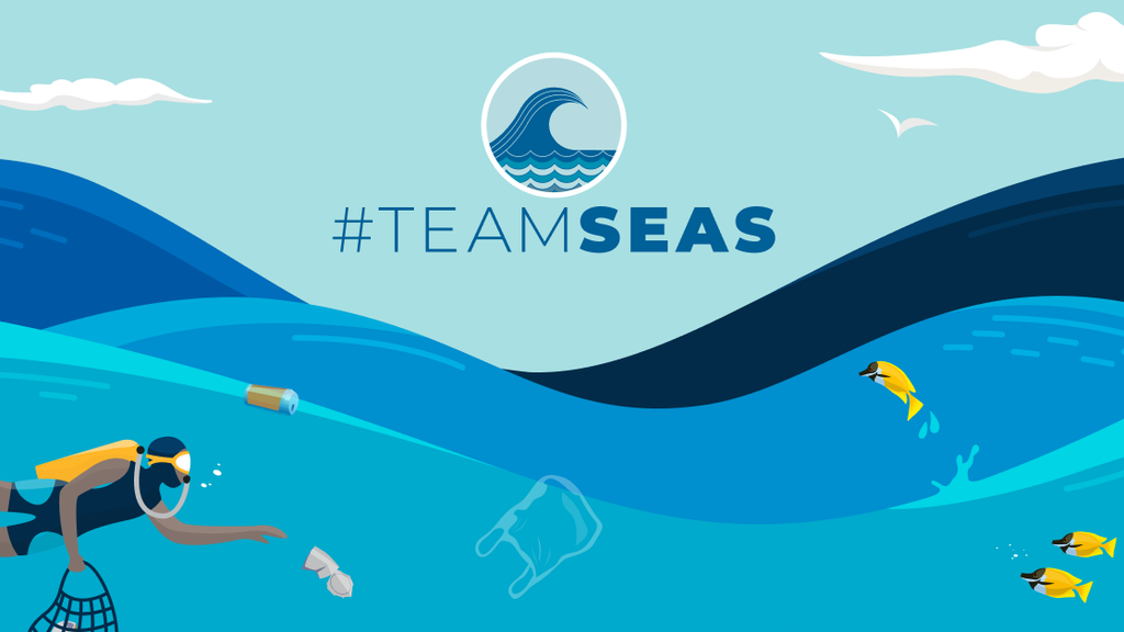Das Team Seas Logo