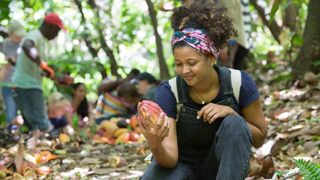 Grenada Chocolate Fest