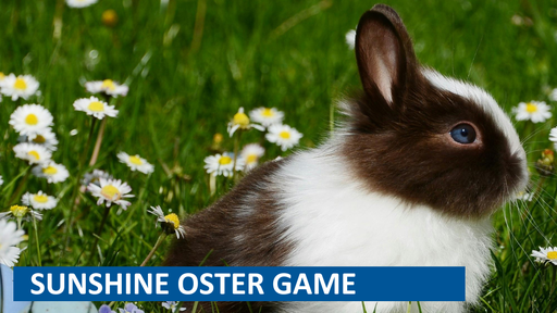 Oster-Game mit Migros-Geschenkkarten