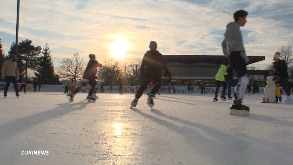 Schneemangel im Flachland: Eisfelder und den Zoo freut’s