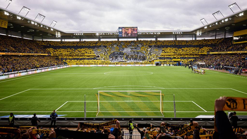BSC Young Boys