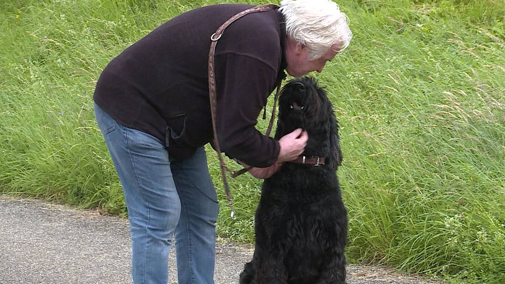 Handling schwieriger Hunde