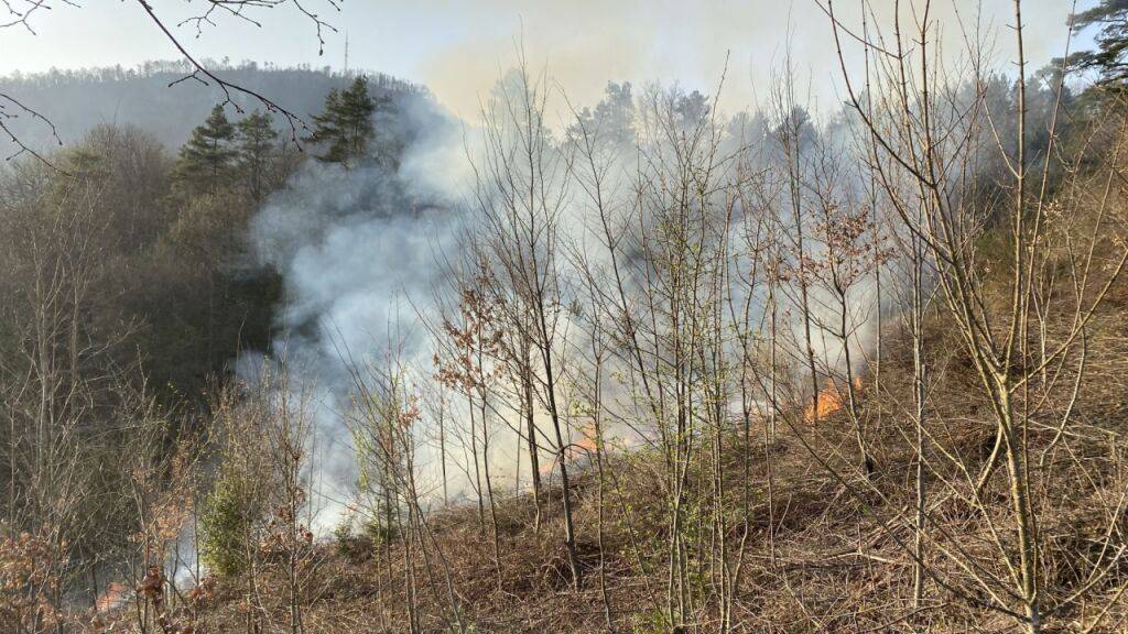 In einem Waldstück in Grellingen BL ist am Freitagabend ein Feuer ausgebrochen.