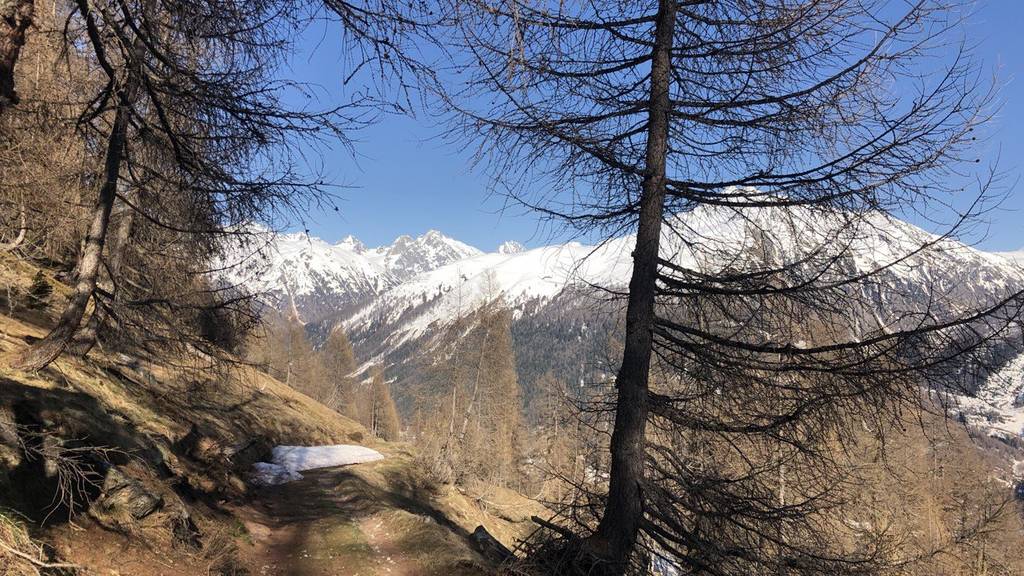 Lieblingsort Dominik