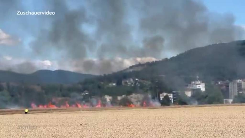 Leichtsinnig: Kinder fackeln mit Feuerwerk in Rothrist ein ganzes Feld ab