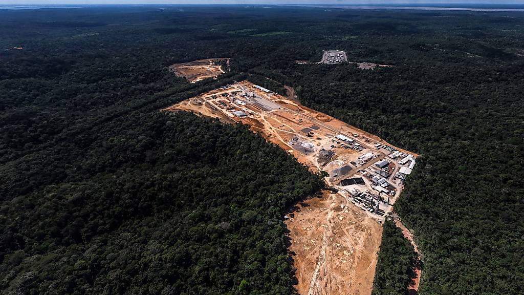 Forschende untersuchten, inwiefern sich die Zerstörung des Amazonas-Regenwalds auf dessen CO2-Bilanz auswirkt. (Archivbild)