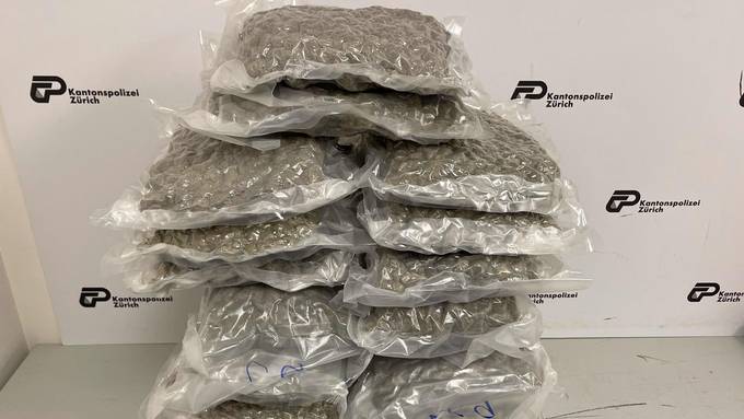 Polizei geht Drogenkurier mit 14 Kilo Marihuana ins Netz