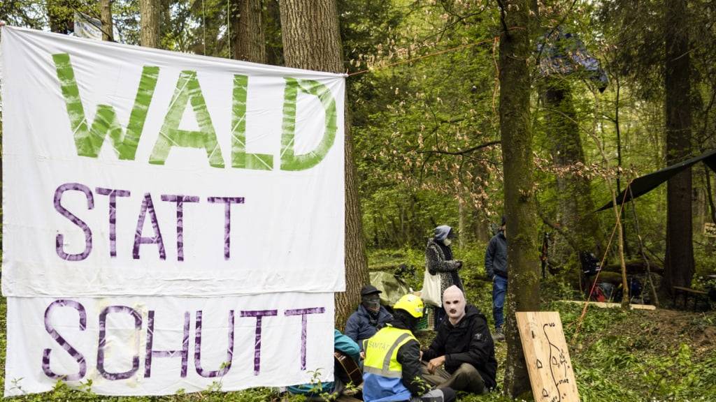 Im betroffenen Waldgebiet in Rümlang kam es im April 2023 zu Protesten von Umweltaktivisten. Das Baurekursgericht hat nun den Gestaltungsplan für die Erweiterung der Deponie Chalberhau aufgehoben. (Archivbild)