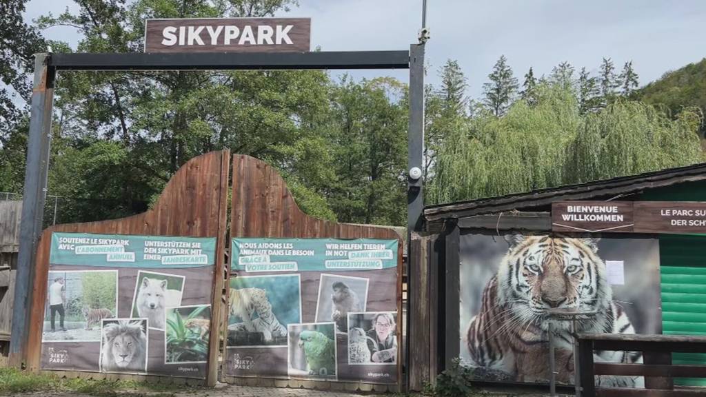 Unwetter verwüstet Sikypark