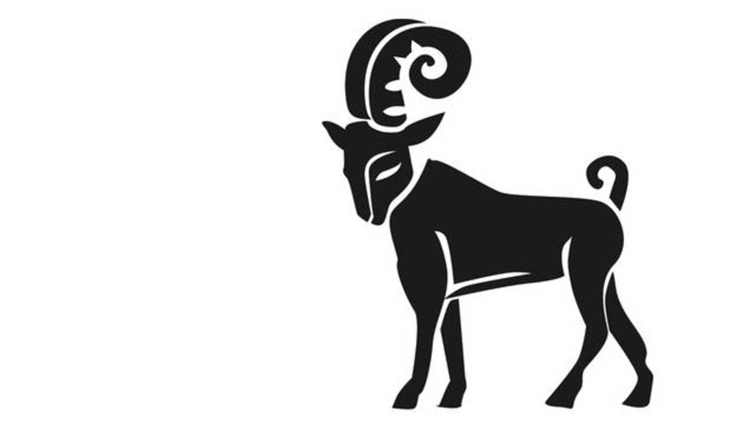 Annual horoscope 2021: Aries