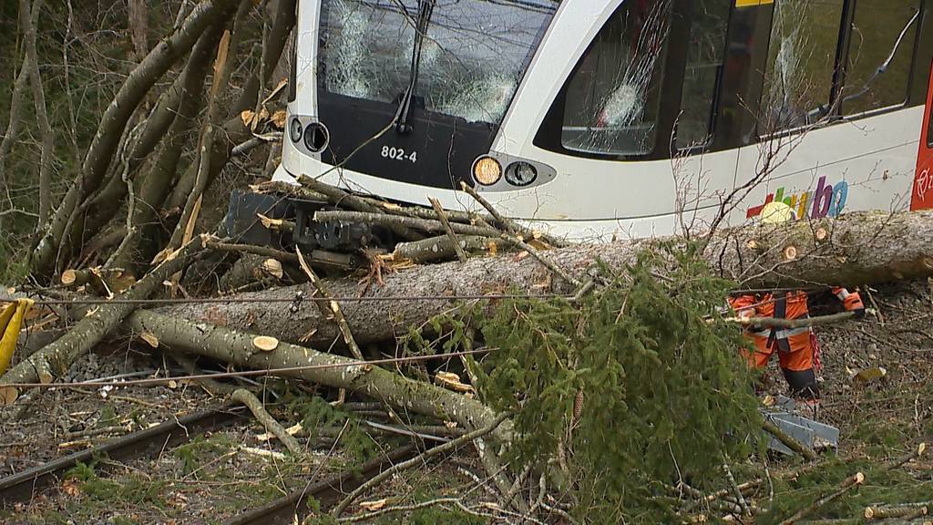 Sturm «Sabine» sorgt für Chaos und Zerstörung