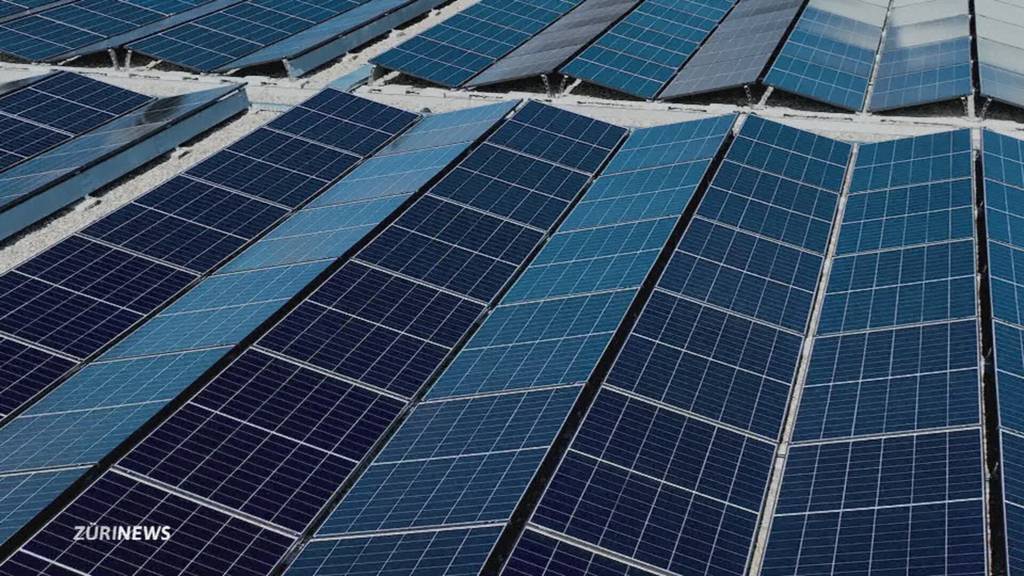 EKZ nimmt grösste Solaranlage im Kanton Zürich in Betrieb
