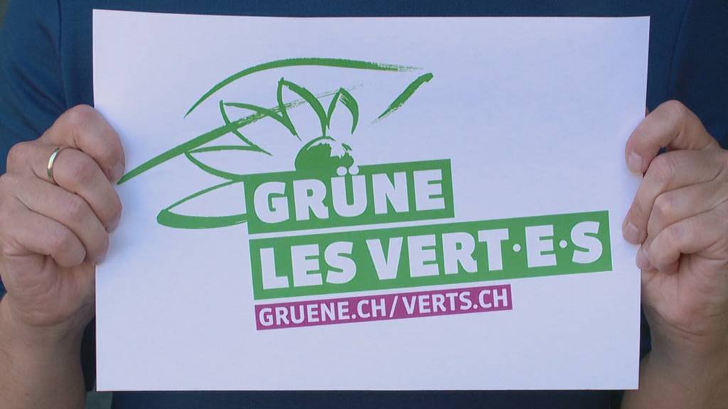 Die Grünen und der drohende Absturz an den eidgenössischen Wahlen