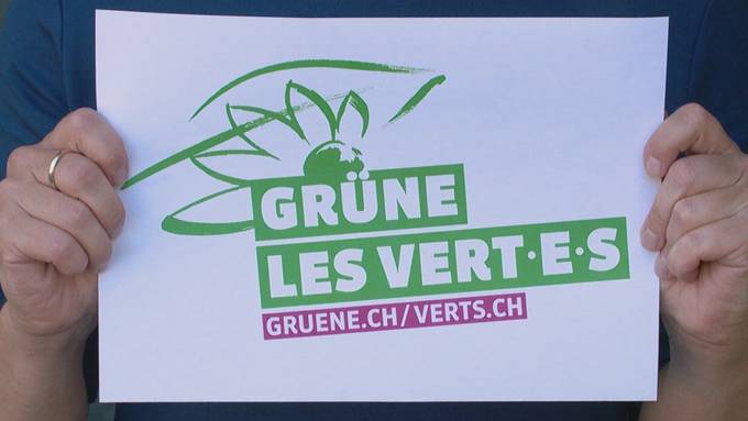 Die Grünen und der drohende Absturz an den eidgenössischen Wahlen