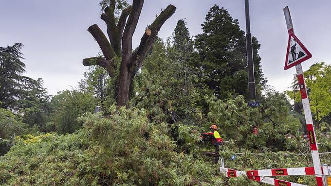 Zehn-Millionen-Schaden nach Unwetter