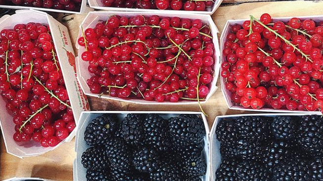 Eva Swisst - Zwischenfazit