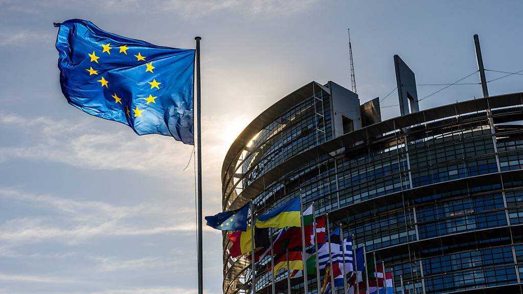 ARCHIV - Die Flaggen der Europäischen Union, der Ukraine und der Mitgliedsstaaten der EU wehen vor dem Gebäude des Europäischen Parlaments in Straßburg. Foto: Philipp von Ditfurth/dpa