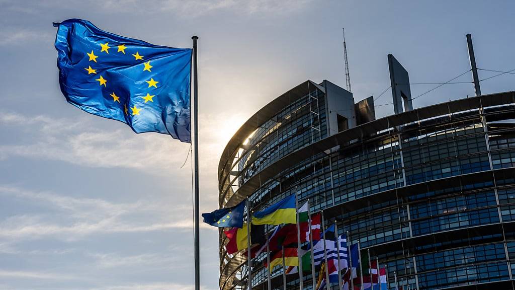 ARCHIV - Die Flaggen der Europäischen Union, der Ukraine und der Mitgliedsstaaten der EU wehen vor dem Gebäude des Europäischen Parlaments in Straßburg. Foto: Philipp von Ditfurth/dpa